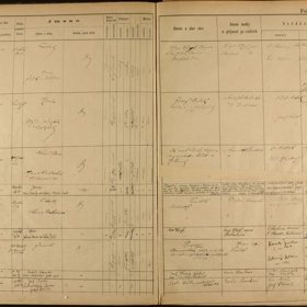 Na sčítání lidu se podílela jak vrchnost, tak duchovní. Právě oni měli nejlepší přehled o narozených a zemřelých obyvatelích svojí farnosti a mimo jiné šlo o lidi gramotné. Na rozdíl od značné části ostatní populace.