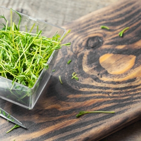 Mikrozelenina se po vypěstování dá skladovat pár dnů v chladu. 