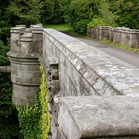 Na okrajích mostu nemusí psi překonávat vysoké ohrazení, a tak je pro ně poměrně jednoduché vrhnout se dolů – snad ve snaze ulovit zvěř, která pod mostem často prochází.