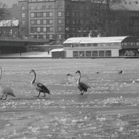 Řeky zamrzly. Děti sice měly kde bruslit, ale lodě s uhlím a dalším potřebným materiálem vyplout nemohly.