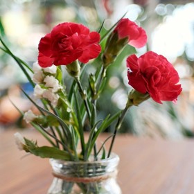 O tradici karafiátů v Česku tak bylo rozhodnuto! I dnes se v Klatovech o pěstování karafiátů zajímají a jejich cílem je udržet tradici. Není se čemu divit, vždyť právě ten klatovský karafiát nemá ve světě obdoby.

