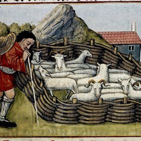 Je libo ovčí penis nadívaný žloutky? 