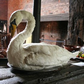Labuť patřila mezi oblíbené pochoutky bohatých. 