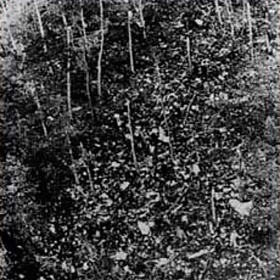 Místo dopadu nedlouho po tragédii. Trosky a bohužel i části lidských těl byly rozesety všude po okolí... 