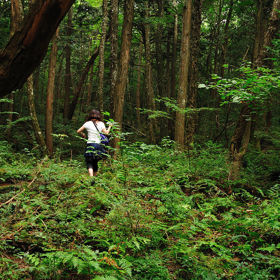 Aokigahara je les na severozápadním úbočí hory Fudži v Japonsku. 
