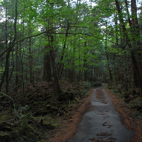 Nejkritičtějším obdobím je březen – měsíc, kdy se podává daňové přiznání.
