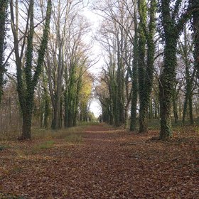 Druhou známou osobností má být Gavrilo Princip, jehož atentát na Františka Ferdinanda d'Este rozpoutal první světovou válku.