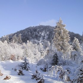 Nejvyšším bodem je kopec Luž.