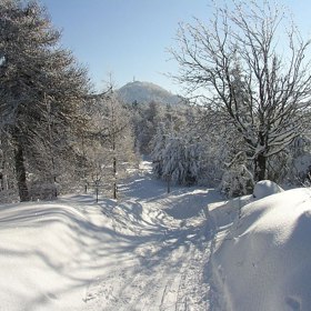 Lužické hory se nacházejí na severu Česka a východě Německa. Většina jejich území patří do chráněné krajinné oblasti.