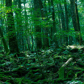 Už od pradávna byl spojován s démony a přízraky.
