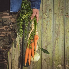 Tušíte, jakou cestu urazily potraviny, než se dostaly na váš stůl?
