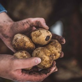 Tušíte, jakou cestu urazily potraviny, než se dostaly na váš stůl?