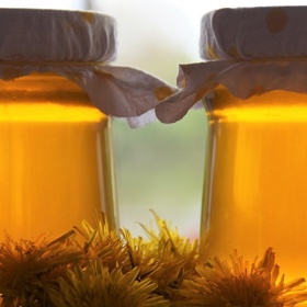 Proto je možná vhodnější říkat mu pampeliškový sirup...