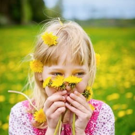 Do sběru pampelišek můžete zapojit i děti. Zabaví se a ještě jim bude výsledný výrobek lépe chutnat.