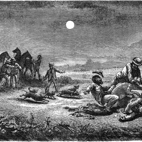 Historický výjev lovu hrabáče pochází z 19. století. Lze vidět, že s ním mají co dělat čtyři dospělí muži. Hrabáč se může bránit ocasem, nebo silnými končetinami zakončenými dlouhými drápy.