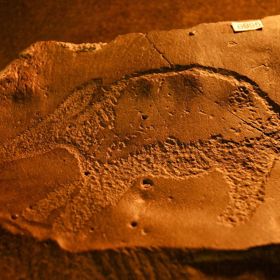 Tento petroglyf, tedy obrázek vyrytý do skály, se nachází v pretorijském Národním muzeu kulturní historie.