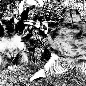 Na začátku 20. století ještě nebyl oficiálně objeven. Zoology na africkém kontinentě překvapili Pygmejové ukázkami kůže gorily a podivného tvora, který později dostal jméno okapi.