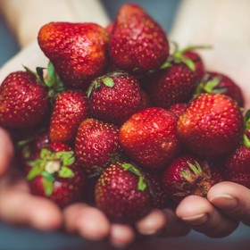 Jahodám se říkalo také ovoce lásky. Dnes už víme proč - díky antioxidantům podporují krevní oběh v pohlavních orgánech.