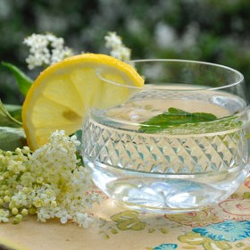 Hodí se jak na báječné limonády a sirupy, tak i na smažení v jednoduchém těstíčku z mouky a vajec.