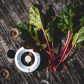 Obsah kyseliny šťavelové se v rebarboře v průběhu roku zvyšuje. Ideální je konzumovat ji zhruba do poloviny června.