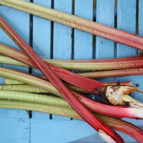 Když máte takové hezké řapíky rebarbory bez listů, je důležité je tepelně zpracovat.