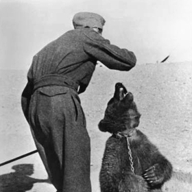 Wojtek sice nosil těžké bedny s granáty, ve skutečnosti to byl ale vojenský maskot.