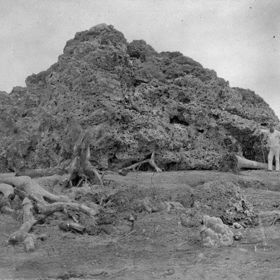 Přes sto tun vážící blok korálů, který byl vyvržen na pevninu vlnou tsunami.