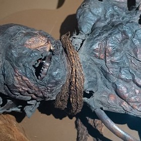 Měla šestnáctiletá oběť zabezpečit dobrou úrodu? 