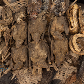 Ta se používají pro výrobu talismanů či jako přísady do rituálů. 