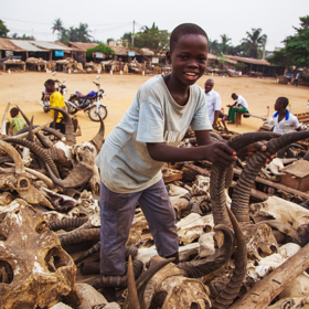Vznik tržiště Akodessawa se datuje do sedmnáctého století.