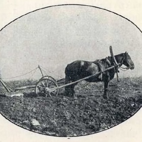 Mezi nejvěrnější stoupence sekty patřili rolníci. Byla pro ně lepší než pravoslavná církev.