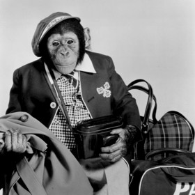 Jeho úhlavním nepřítelem byl Dave Garroway, moderátor pořadu NBC Today. Žárlil na Fredův úspěch.