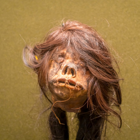 Výroba scvrklých hlav byla poměrně náročná. Nejdřív se musela odstranit lebka, neboť ta by se rozhodně nescvrkla. Pak následovaly další procedury.