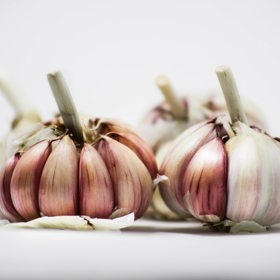 Někteří odborníci považují česnek za nejlepší volbu. Je bohatý na alicin, u které bylo prokázáno, že posiluje imunitní systém. Také pozitivně vplývá na srdce a zabraňuje vzniku rakoviny.