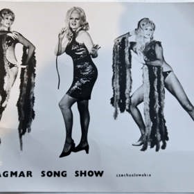 V období dospívání se Dagmar Kludská se svými sestrami živila zpěvem a tancem, ale také jako varietní umělkyně.