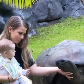 Dalším Graceiným miláčkem je údajně želví samec Igloo.