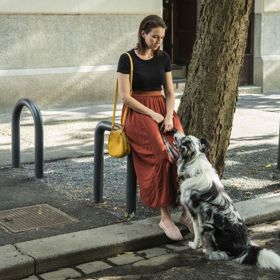 Berenika Kohoutová dostane jako filmová Dita psa, kterého vůbec nechtěla. Na samém začátku také šlápne do psího exkrementu. Přinese jí to štěstí?