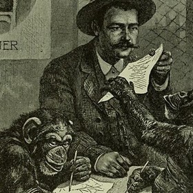 Transplantace intersticiální šimpanzí tkáně měla starším mužům navrátit fyzickou sílu.