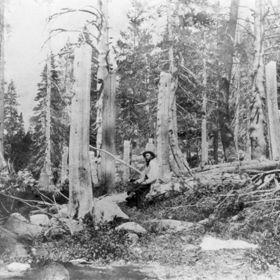 Kvůli zdržení zastihla Donnerovu výpravu vánice. Závěje dosahovaly výšky sedmi metrů (viz polámané stromy na fotografii).