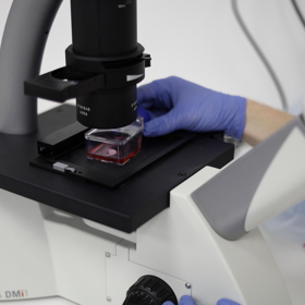 Kateřina Marešová říká, že složitější bude rozšířit produkci kultivovaného masa do velkých objemů a zvládnout veškeré komplikace s ní spjaté - udržet při tom sterilitu, chuť i čerstvost produktu.