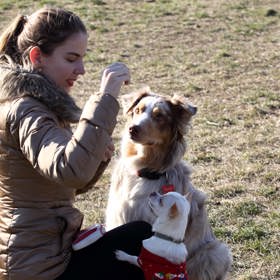 Redaktorka Lifee.cz Veronika Nováková přivedla svého psa, čivavu Čendu. Čenda se s Amy rychle skamarádil - díky společné vášni pro piškoty.
