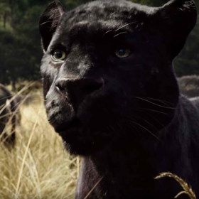 Z herců však měl, alespoň částečně, tyto kořeny pouze Ben Kingsley. Namluvil pantera Bagheeru.