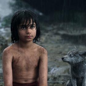 Kniha džunglí: Sirotek Mauglí prchá před tygrem Šer Chánem, který nenávidí lidi za to, že jej kdysi popálili. Mauglí se rozhodne vrátit k lidem. Před sebou však má ještě dlouhou cestu...