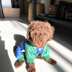 Své fanoušky na sociálních sítích zásobuje fotkami pejska Caesara v roztomilých oblečcích.