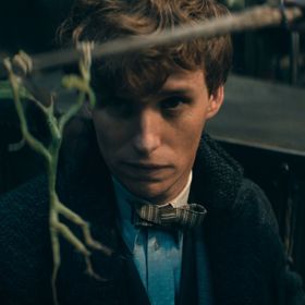 Na Mloka Scamandera (Eddie Redmayne) a jeho kamaráda větvíka čeká úkol, který bude nad jejich síly. 