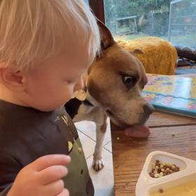 Uklizeno bývá u Pizingerů po jídle raz dva.