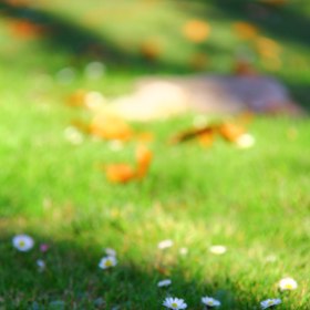 Jejich čas ale přijde zjara, kdy jsou opravdu všude.