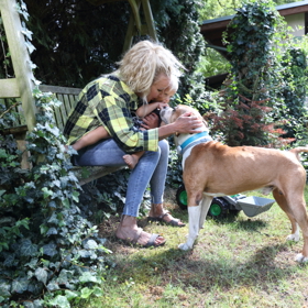 Zahrada je vzrostlá okolo deseti let a pořád ji vylepšuju.
