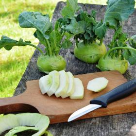 Kedlubna se v obchodech objevuje prakticky po celý rok. Nejchutnější je ovšem na jaře.