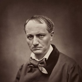 Francouzský spisovatel Charles Baudelaire věnoval kočkám své slavné dílo Květy zla. Jeden verš dokonce oslavuje mňoukání.